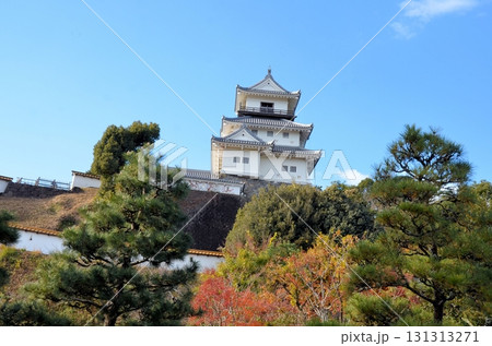 掛川城 天守閣 掛川城 天守閣 131313271