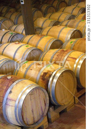 ワインセラー 131313302