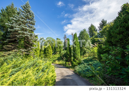 やくらいガーデン　コニファーの路　宮城県 131313324