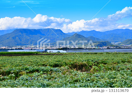 上越から尾瀬の山並 赤城高原コンニャク畑からの風景 赤城高原 昭和村 上越から尾瀬の山並 赤城高原コンニャク畑からの風景 赤城高原 昭和村 131313670