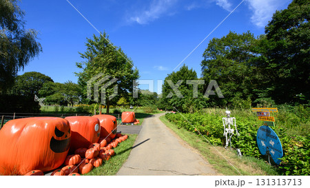 花の丘 やくらいガーデン ハロウィンに向けて 宮城県 花の丘 やくらいガーデン ハロウィンに向けて 宮城県 131313713