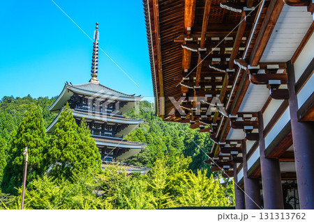 清大寺五重塔が見える風景 福井県 清大寺五重塔が見える風景 福井県 131313762