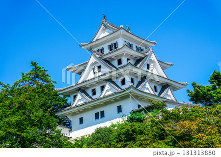 青空と郡上八幡城 岐阜県郡上市 青空と郡上八幡城 岐阜県郡上市 131313880