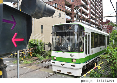 都電 荒川線 (東京さくらトラム) 　8500形 (8501)　　 131313894
