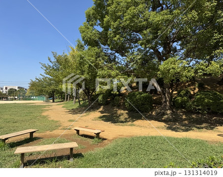公園のベンチ 131314019