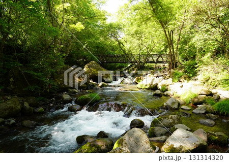 山梨県　吐竜の滝 131314320