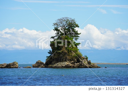 富山県　雨晴海岸 131314327