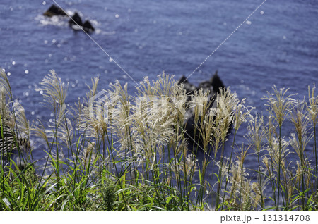 立待岬からの眺め 立待岬からの眺め 131314708