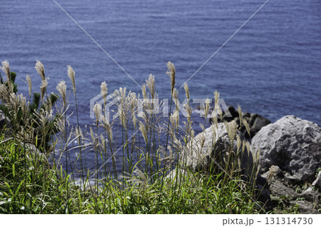 立待岬からの眺め 131314730