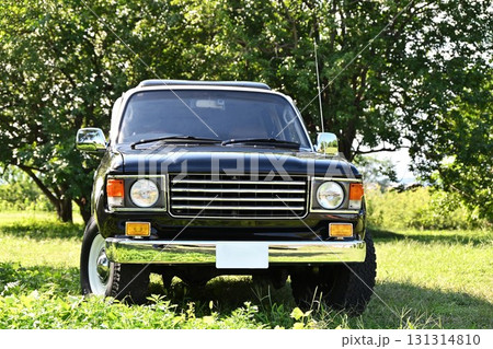 緑の中のランドクルーザー86レノカ 緑の中のランドクルーザー86レノカ 131314810