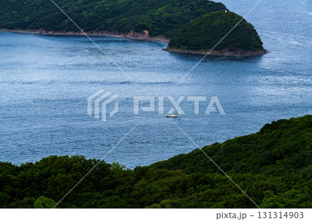 中秋の和歌山紀淡海峡　加太瀬戸の釣り船　中望遠 131314903