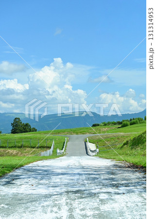 爽やかな夏の青空と自然風景 131314953