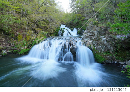 岩手県 中野白滝 岩手県 中野白滝 131315045