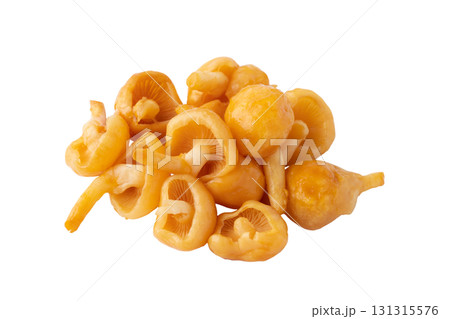 透明背景（png）に大粒のなめこ 131315576