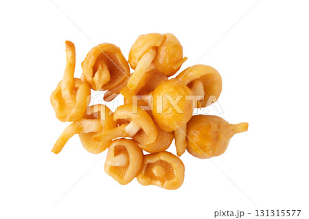 透明背景（png）に大粒のなめこ 131315577