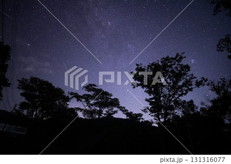 新潟県 笹ヶ峰キャンプ場 新潟県 笹ヶ峰キャンプ場 131316077