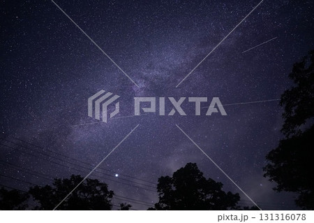 新潟県 笹ヶ峰キャンプ場 新潟県 笹ヶ峰キャンプ場 131316078