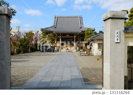 冬ばれの元、本堂が映える真光寺 冬ばれの元、本堂が映える真光寺 131316268