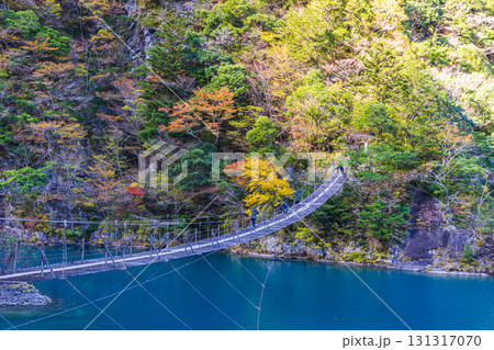 静岡県　寸又峡の夢の吊橋・秋景色 131317070