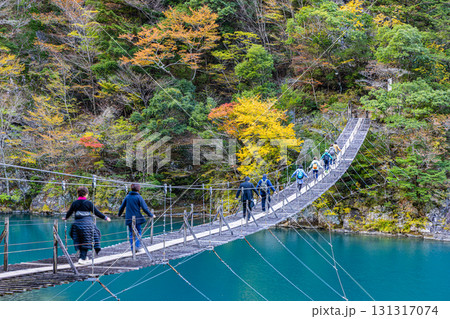 静岡県　寸又峡の夢の吊橋・秋景色 131317074