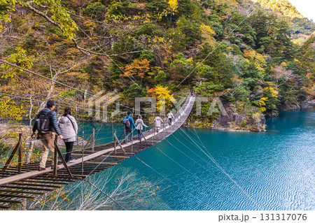 静岡県　寸又峡の夢の吊橋・秋景色 131317076