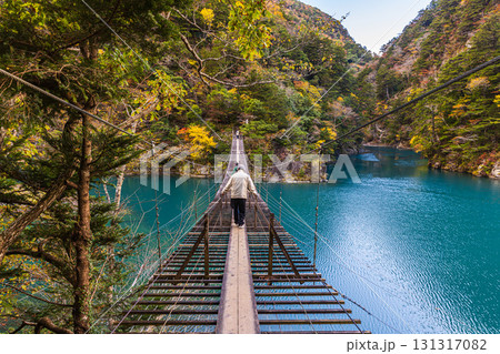 静岡県　寸又峡の夢の吊橋・秋景色 131317082