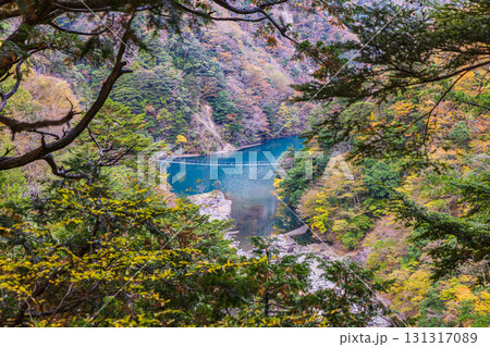 静岡県　寸又峡の夢の吊橋・秋景色 131317089