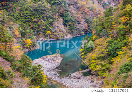 静岡県　寸又峡の夢の吊橋・秋景色 131317091