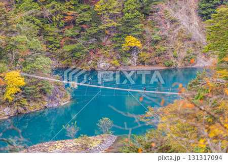静岡県 寸又峡の夢の吊橋・秋景色 静岡県 寸又峡の夢の吊橋・秋景色 131317094