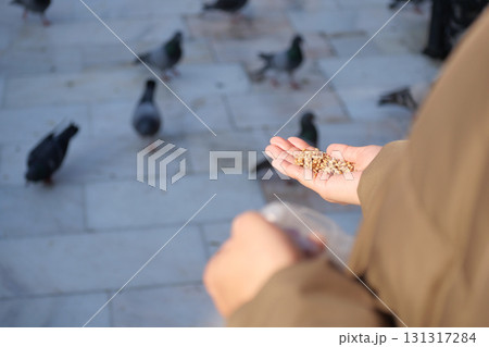 Feeding pigeons in a city square during golden hour Feeding pigeons in a city square during golden hour 131317284