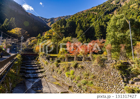 静岡県　寸又峡の秋景色 131317427