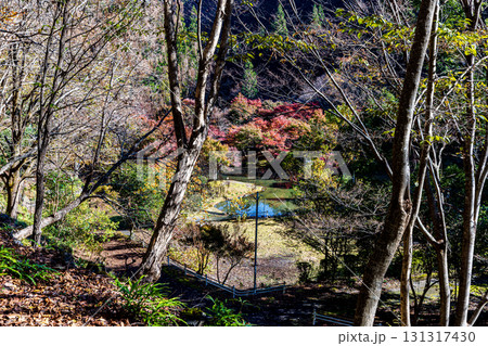 静岡県　寸又峡の秋景色 131317430