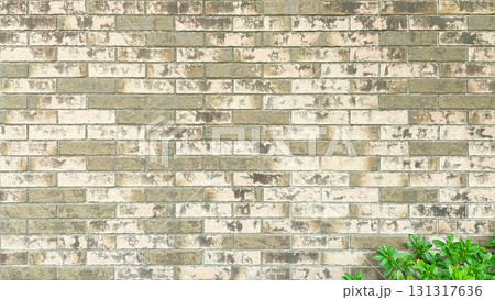 黄茶色のレンガの壁の手前右下に緑の葉が映る背景画像 黄茶色のレンガの壁の手前右下に緑の葉が映る背景画像 131317636