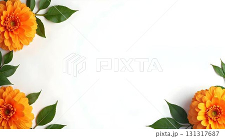 Orange flowers on a white background, symbolizing India Independence Day celebration 131317687