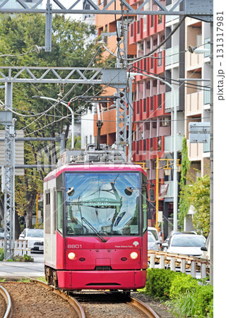 都電 荒川線 (東京さくらトラム) 　 8800形 (8801) 131317981