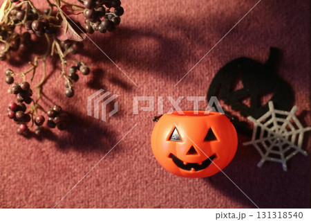 ハロウィンのかぼちゃとドライフラワー ハロウィンのかぼちゃとドライフラワー 131318540