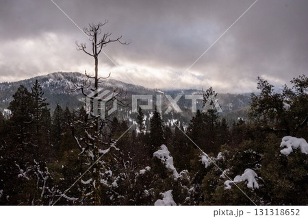 Winter in Yosemite Winter in Yosemite 131318652