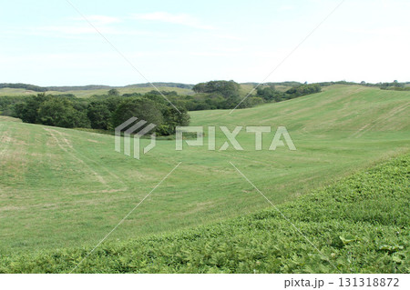根釧台地 根釧台地南部 丘陵地帯 牧草地 根釧台地 根釧台地南部 丘陵地帯 牧草地 131318872