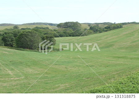 根釧台地 根釧台地南部 丘陵地帯 牧草地 根釧台地 根釧台地南部 丘陵地帯 牧草地 131318875