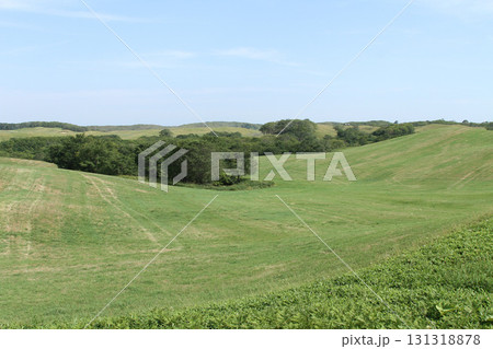 根釧台地 根釧台地南部 丘陵地帯 牧草地 根釧台地 根釧台地南部 丘陵地帯 牧草地 131318878