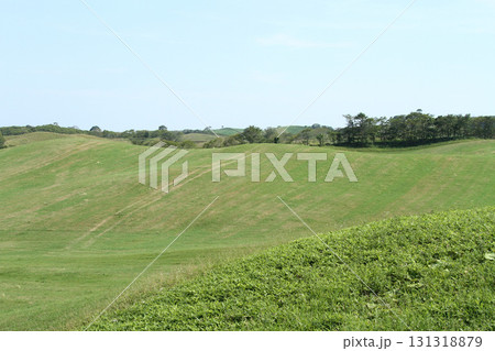 根釧台地　根釧台地南部　丘陵地帯　牧草地 131318879