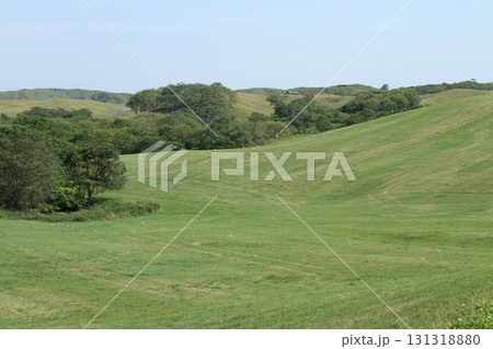 根釧台地　根釧台地南部　丘陵地帯　牧草地 131318880