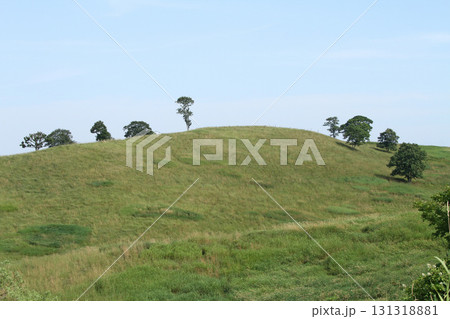 根釧台地　根釧台地南部　丘陵地帯　牧草地 131318881