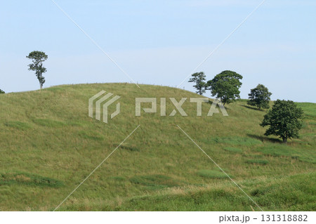 根釧台地 根釧台地南部 丘陵地帯 牧草地 根釧台地 根釧台地南部 丘陵地帯 牧草地 131318882