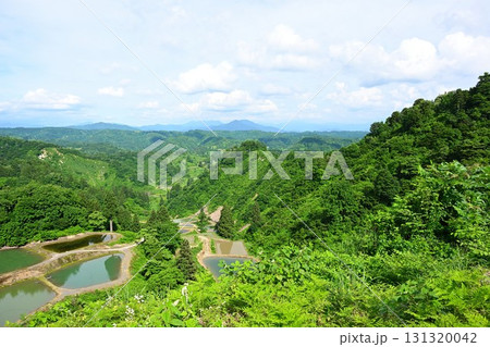山古志一本杉の棚田棚池(新潟県) 山古志一本杉の棚田棚池(新潟県) 131320042