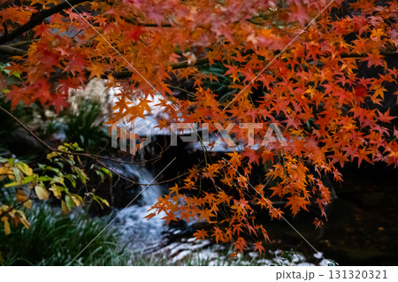 滝と紅葉の風景 131320321