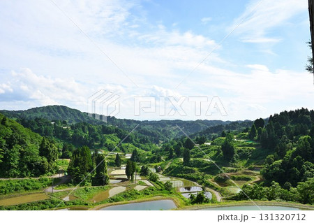 山古志の棚田棚池（新潟県） 131320712