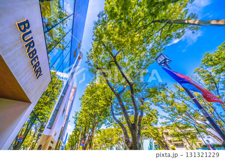 日本の東京都市景観 東京・表参道の緑溢れる並木などを望む 日本の東京都市景観 東京・表参道の緑溢れる並木などを望む 131321229