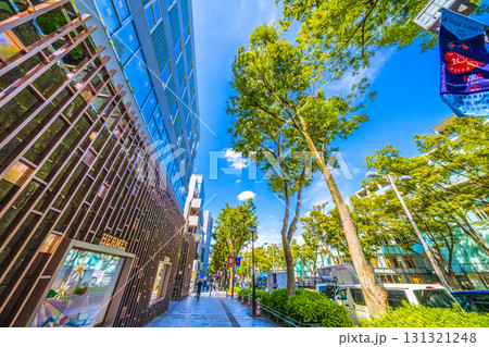 日本の東京都市景観 東京・表参道の緑溢れる並木などを望む 131321248