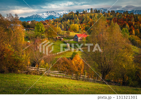 Autumn scenery with colorful deciduous trees on the hills, Romania 131321301